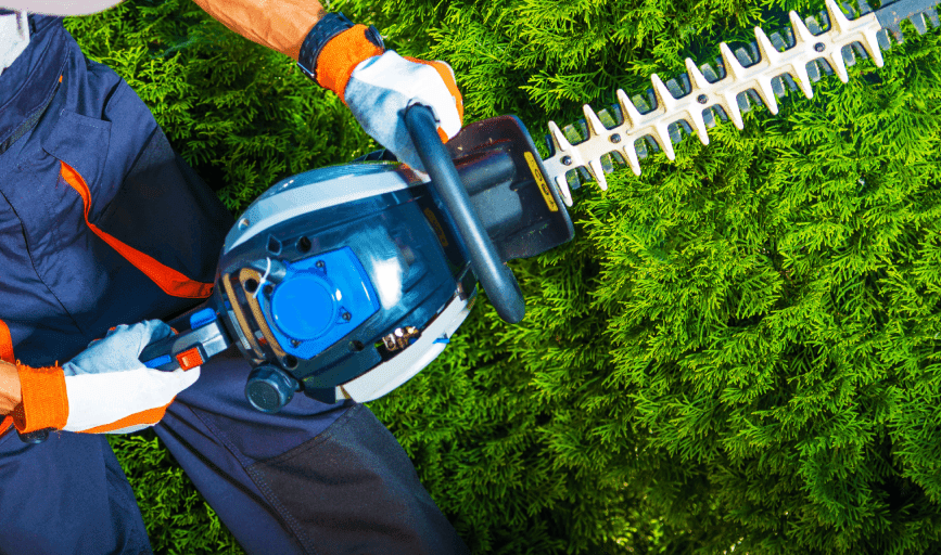 Hedge Trimming