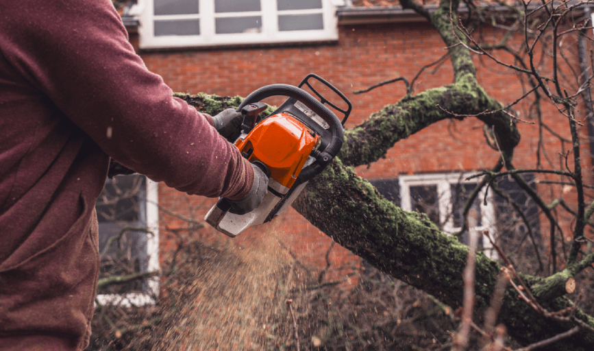 Chapman Lawn Care and Landscaping