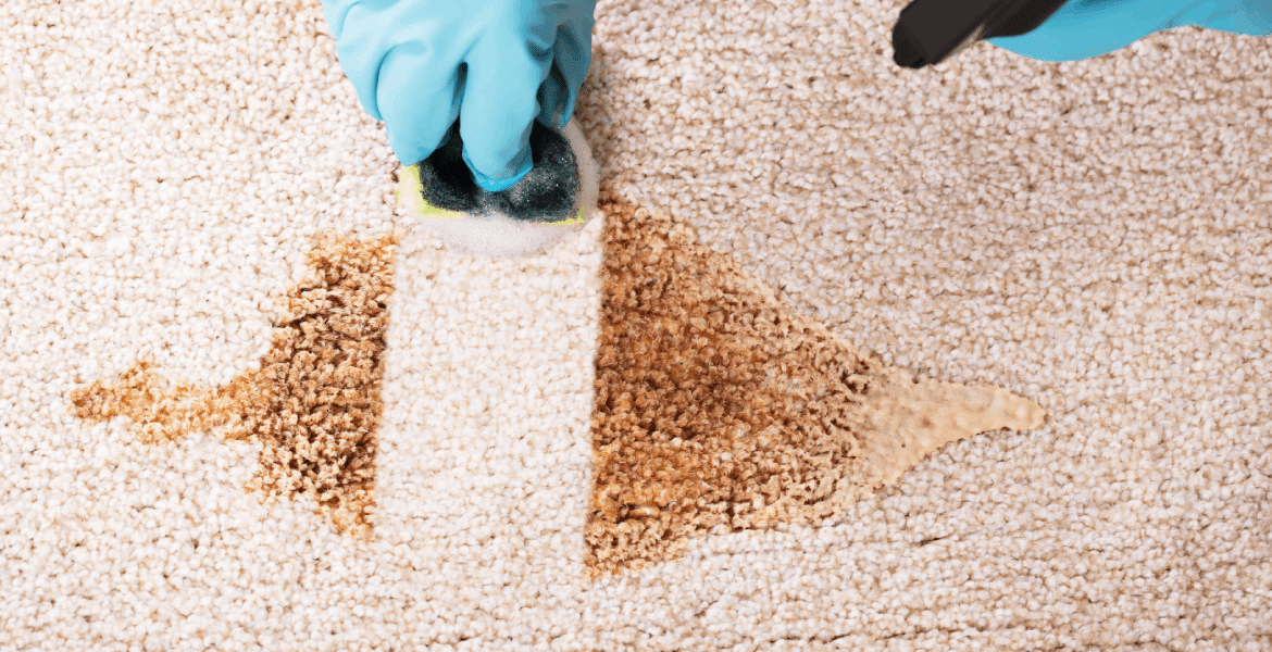 Professional Cleaning Services