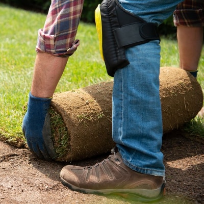 Sod Installation