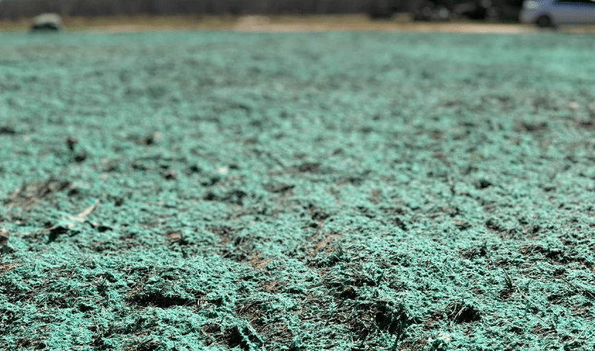 Hydroseeding