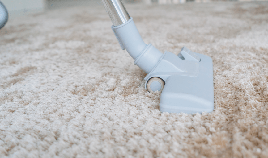 Carpet Cleaning