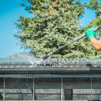 Gutter Cleaning
