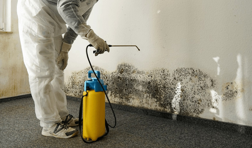 San Clemente Restoration