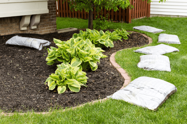 Cutt'n Up Lawn Services