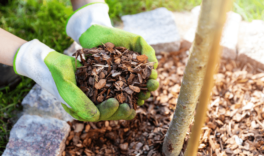 Mulching