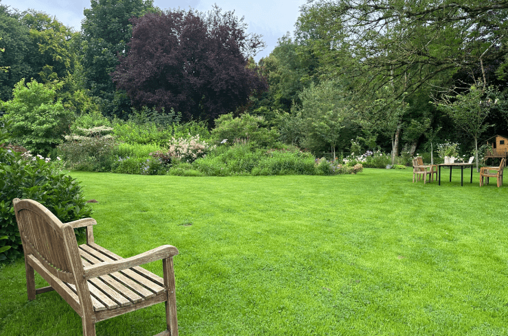 Mike's Lawncare & Handyman