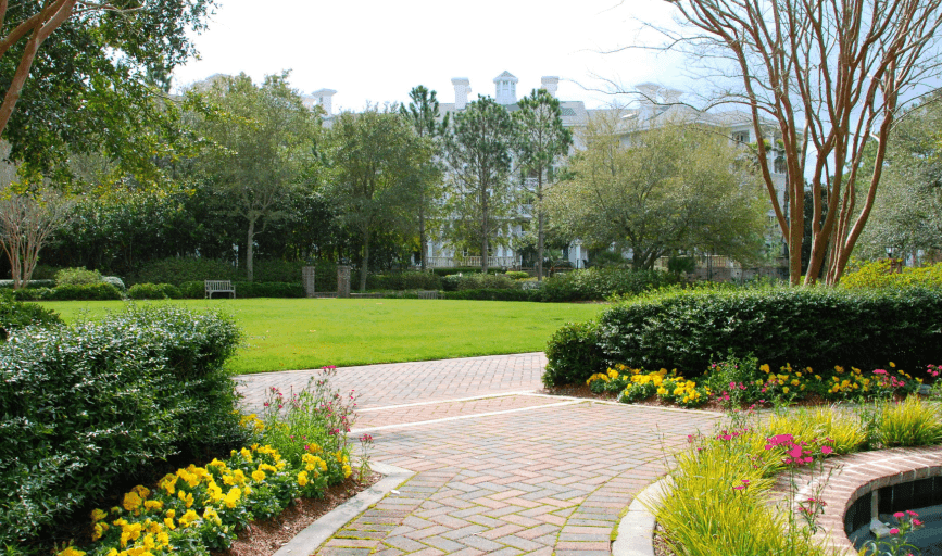 Mike's Lawncare & Handyman