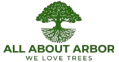 All About Arbor