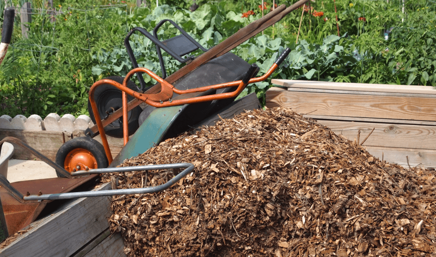 HW Lawn Care Services