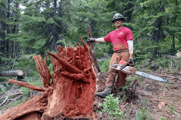 Ridgeline Tree & Land Management