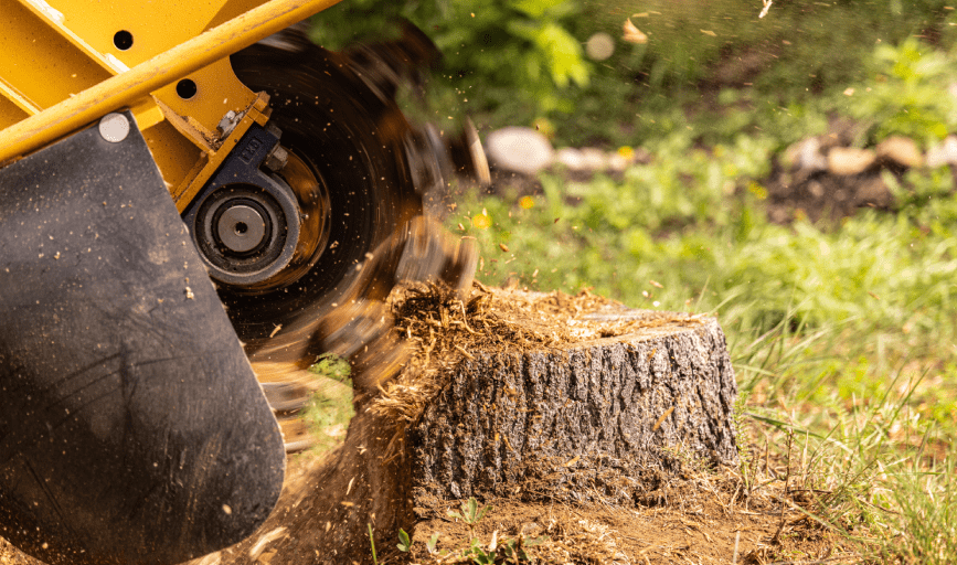 Ridgeline Tree & Land Management