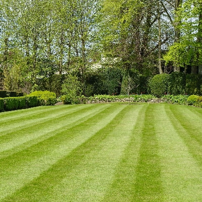 Lawn Care