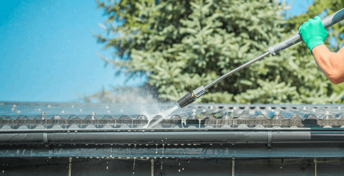 Catty's Soft & Power Wash