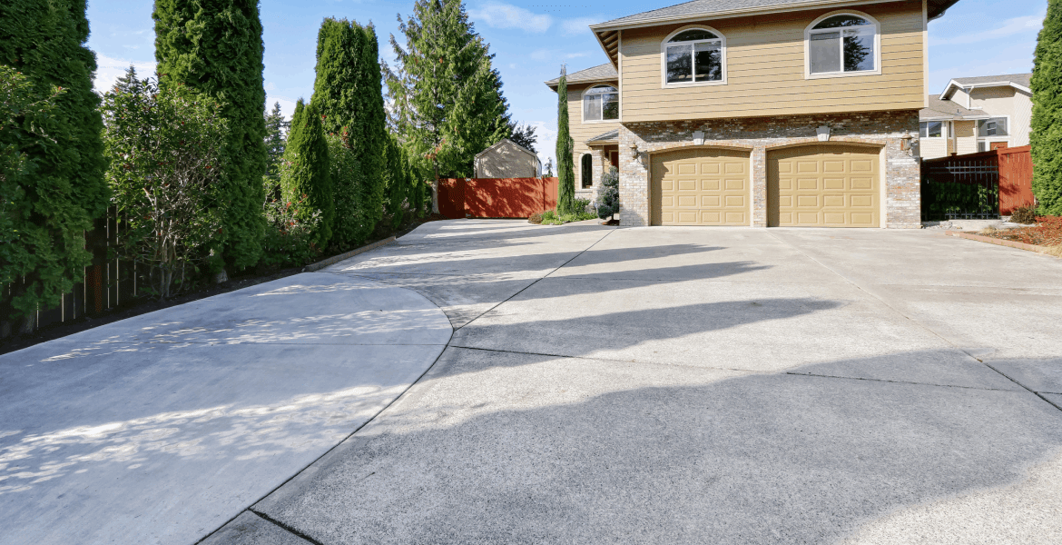 Catty's Soft & Power Wash