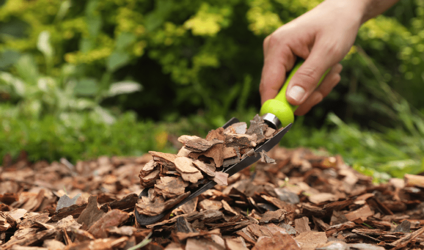 5 Star Landscaping Lawn Service