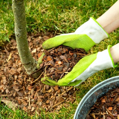 Mulching