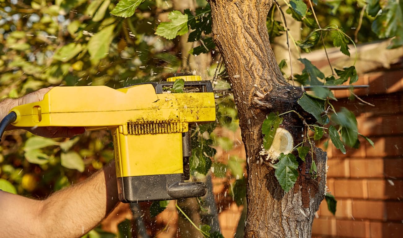 Burt Junk Removal & Lawn Care