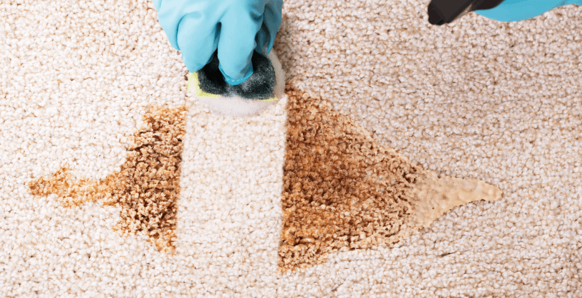 Marta Home Cleaning Services