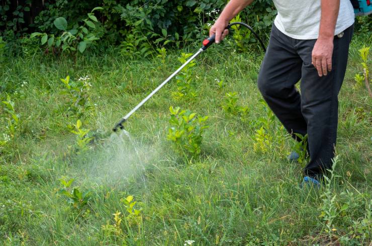 Vaca Landscaping Services