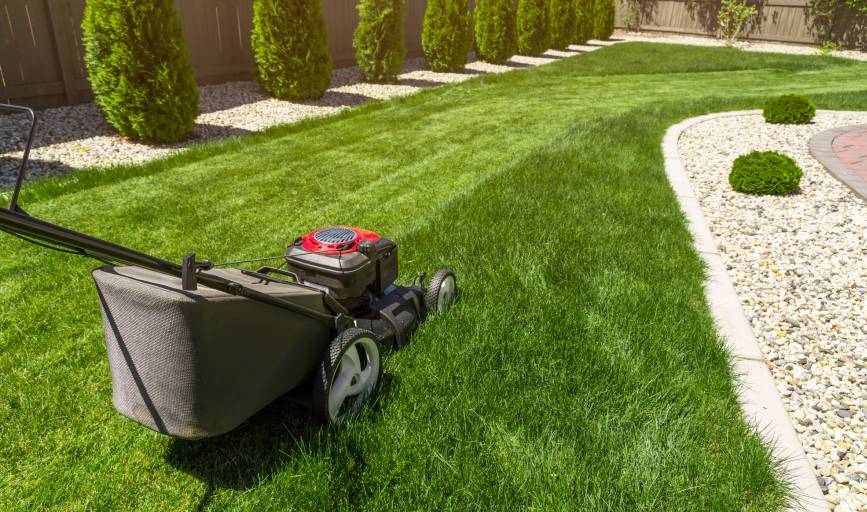 Vaca Landscaping Services