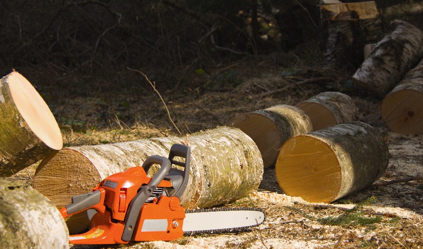 America Green Care Landscape