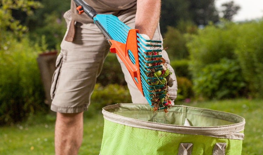 America Green Care Landscape