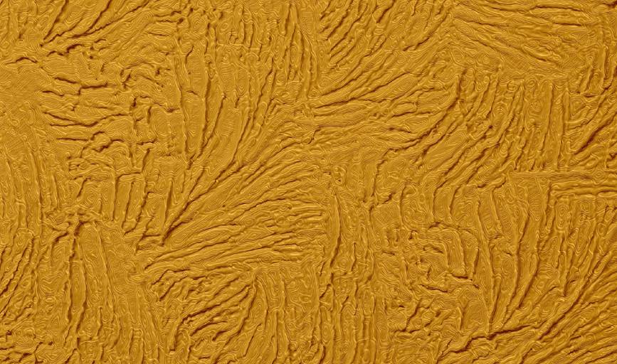 Aesthetic Windows and Doors