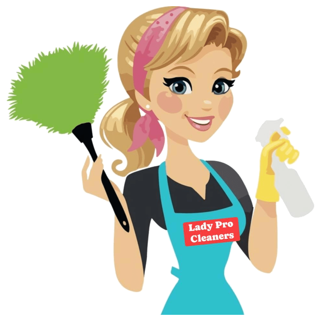 Lady Pro Cleaners 