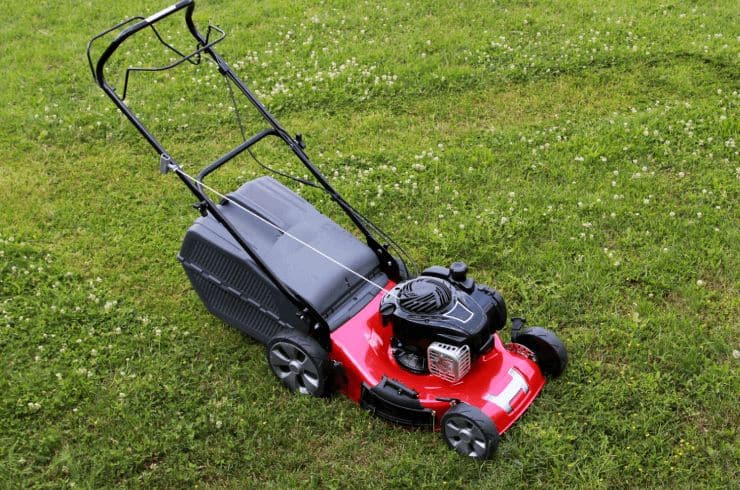 Genesis Landscape & More