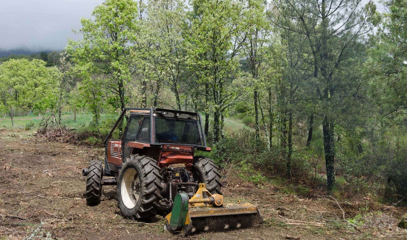Land Clearing