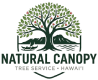 Natural Canopy