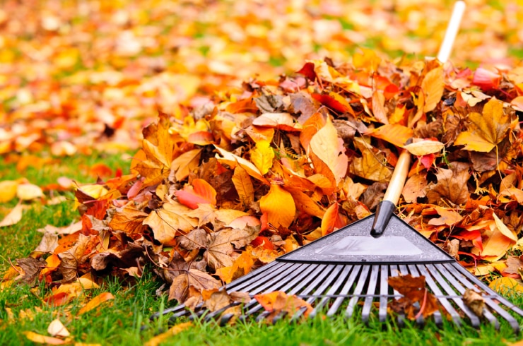 RSB Landscape Maintenance