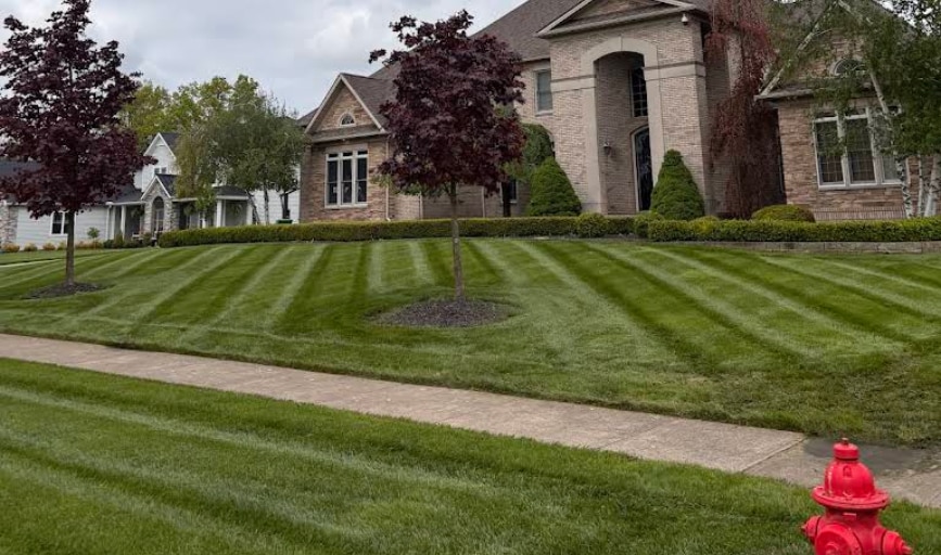 RSB Landscape Maintenance