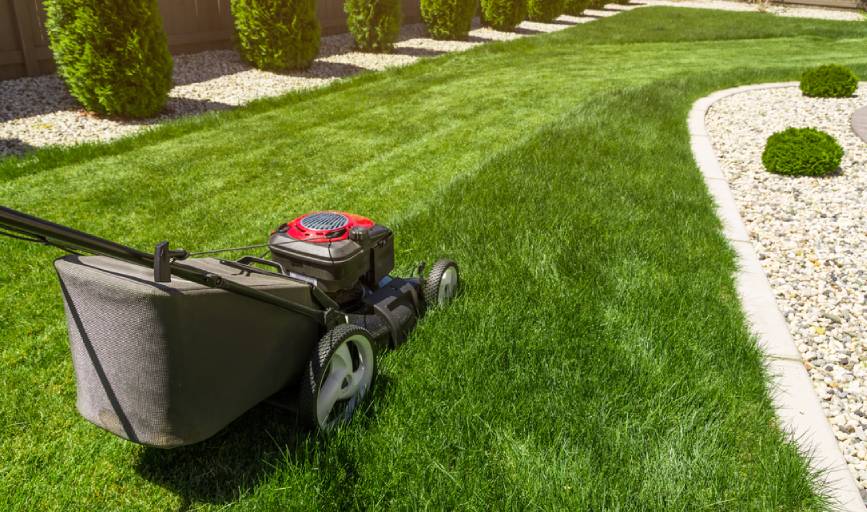 RR Shine Landscaping