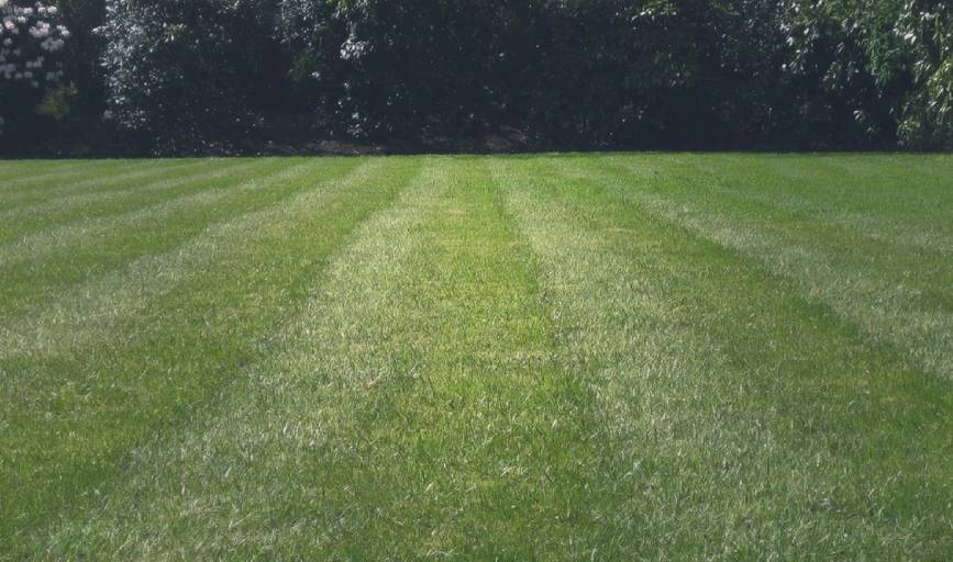 RR Shine Landscaping