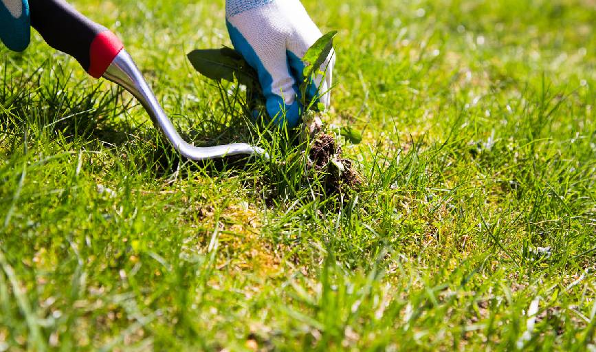 RR Shine Landscaping