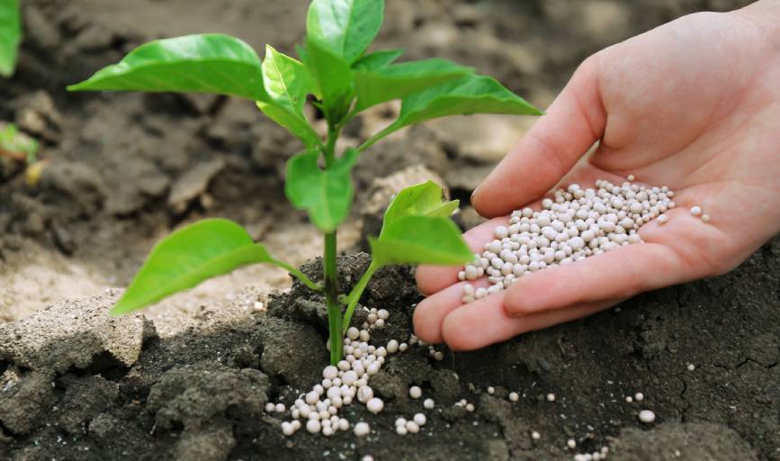 RR Shine Landscaping