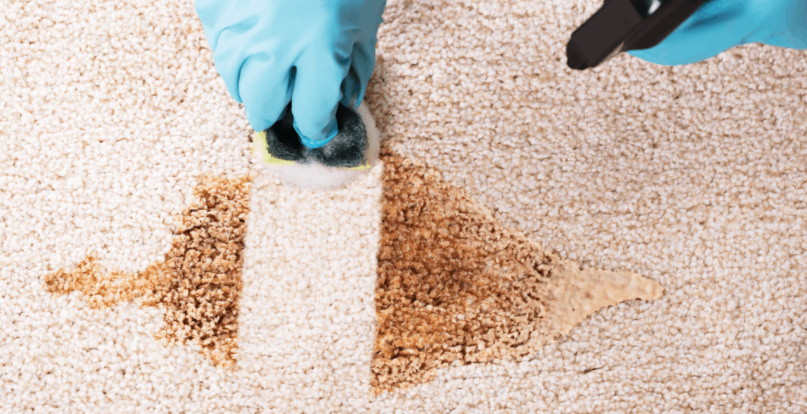 Master Painting & Cleaning FG LLC