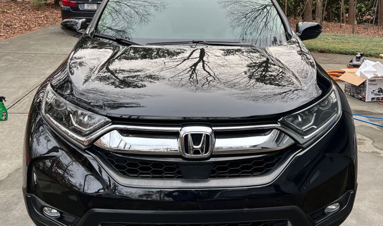 Run 'N Tail That Detailing