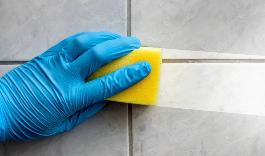 Dustless Housekeeping Services