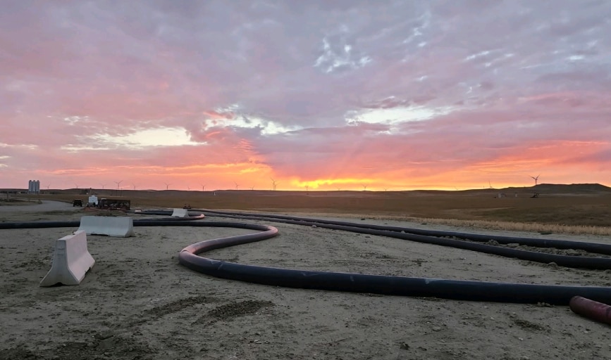 Black Pearl Solutions