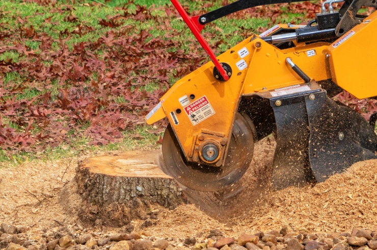 Trees & Landscape Design