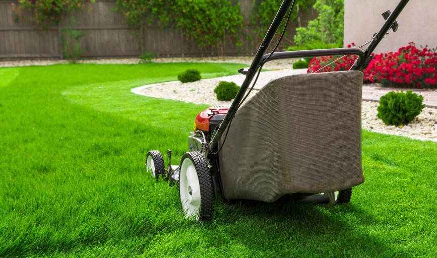 Trees & Landscape Design