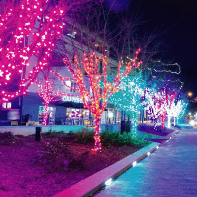 Holiday Lighting Installation