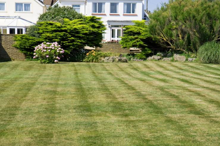 Almighty Landscaping