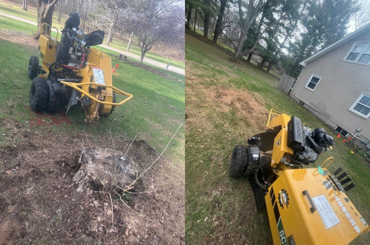 Boggs Stump Grinding