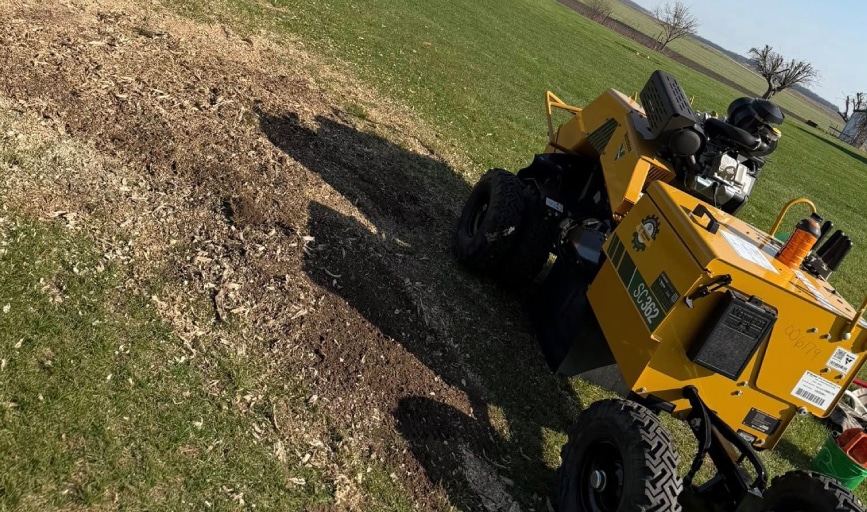 Boggs Stump Grinding
