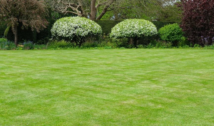 Countryside Lawncare & House Cleaning