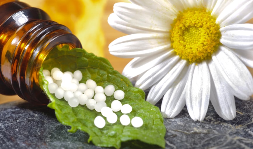 Alternative Natural Health Solutions, LLC